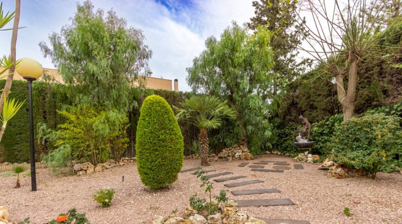 Alicante - Petrer - 1650m2