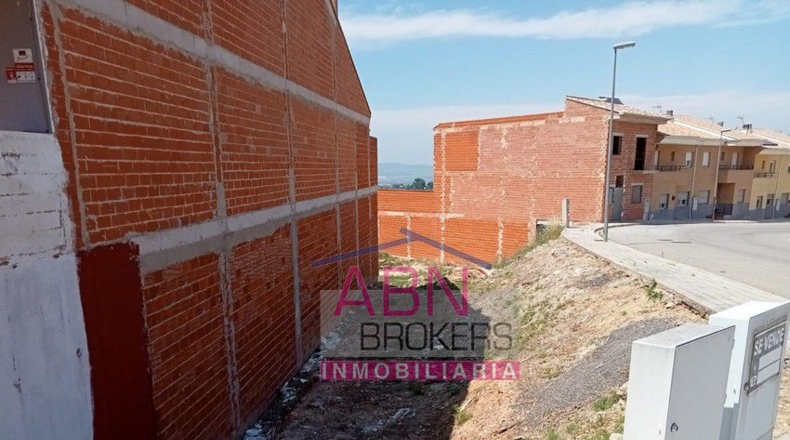 Valencia - Adzaneta de Albaida - 213m2