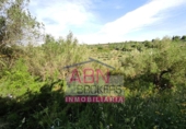 Terreny no urbanitzable en venda a Albaida ref.: TR64715 foto