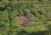 Terreny no urbanitzable en venda a Albaida ref.: TR64715 foto
