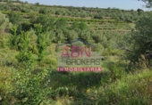 Terreny no urbanitzable en venda a Albaida ref.: TR64715 foto