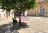 Suelo urbano en venta en Albaida ref: TR99415 foto