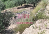 Non-developable land for sale in Albaida ref: TR109807 photo