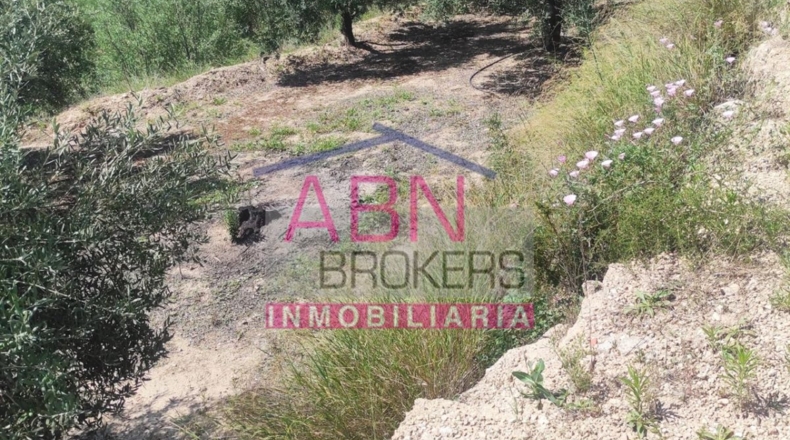 Valencia - Albaida - 4126m2