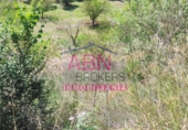 Non-developable land for sale in Albaida ref: TR109807 photo
