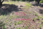 Non-developable land for sale in Albaida ref: TR109807 photo
