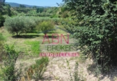 Non-developable land for sale in Albaida ref: TR109807 photo