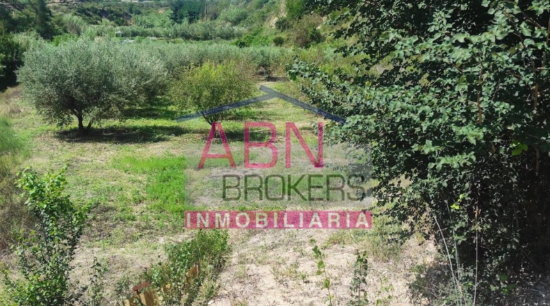 Valencia - Albaida - 4126m2