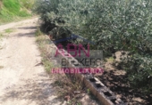 Non-developable land for sale in Albaida ref: TR109807 photo