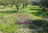 Non-developable land for sale in Albaida ref: TR109807 photo