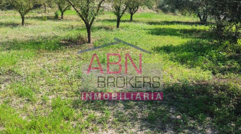 Valencia - Albaida - 4126m2