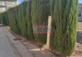 Suelo urbano en venta en Bellús ref: TR98574 foto