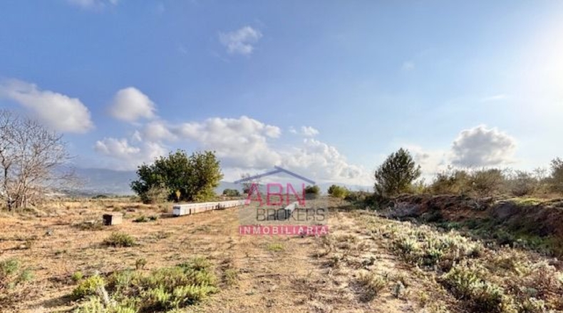 Valencia - Montaberner - 13367m2