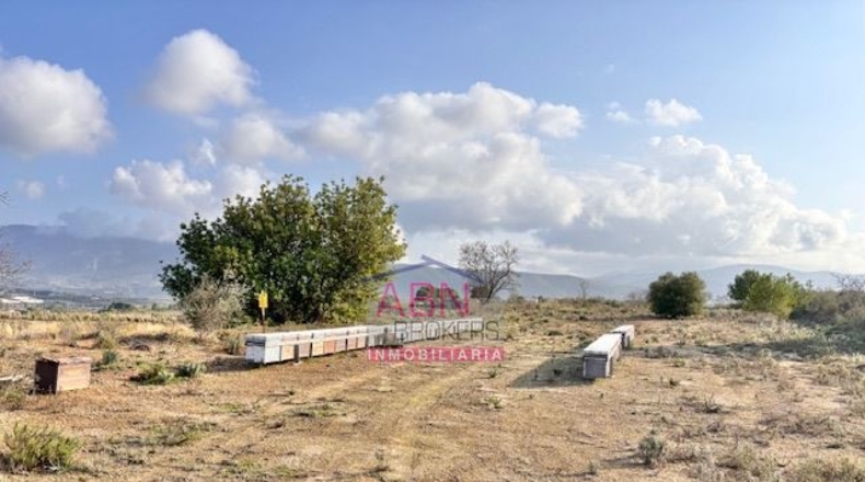 Valencia - Montaberner - 13367m2