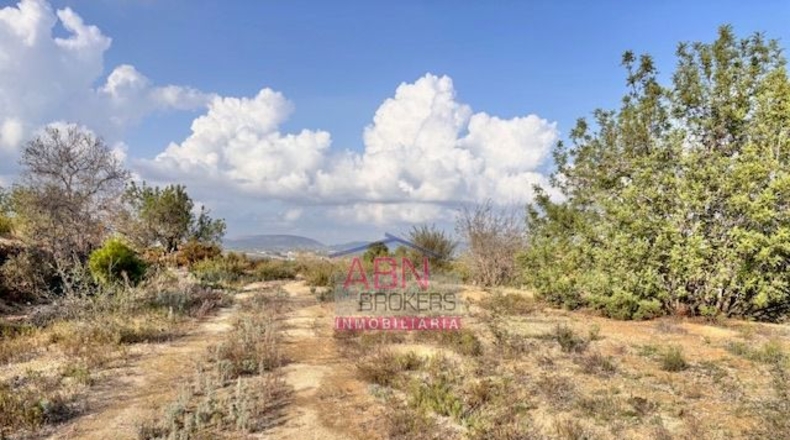 Valencia - Montaberner - 13367m2