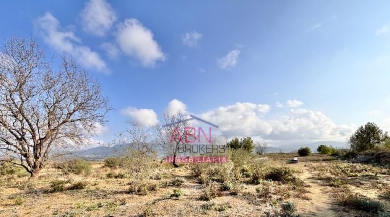 Valencia - Montaberner - 13367m2