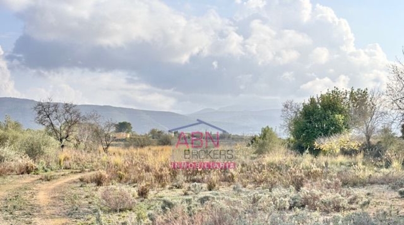 Valencia - Montaberner - 13367m2