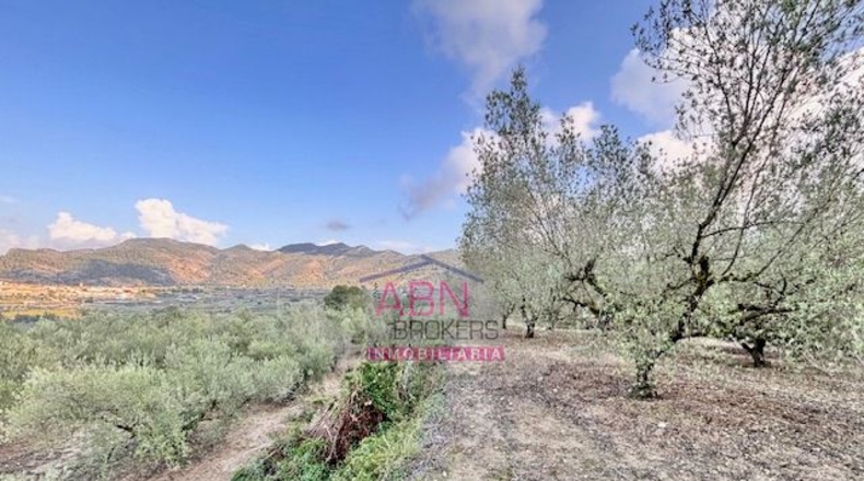 Valencia - Salem - 4865m2