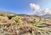 Terreno no urbanizable en venta en Salem ref: TR180927 foto
