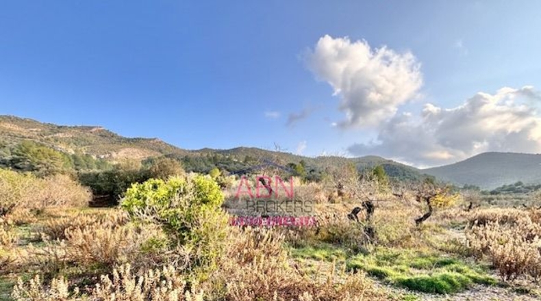 Valencia - Salem - 6033m2