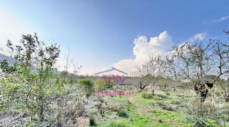 Valencia - Salem - 6033m2