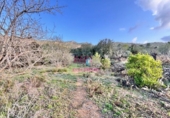 Terreno no urbanizable en venta en Salem ref: TR180927 foto