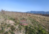 Terreno no urbanizable en venta en Bèlgida ref: TR253002 foto