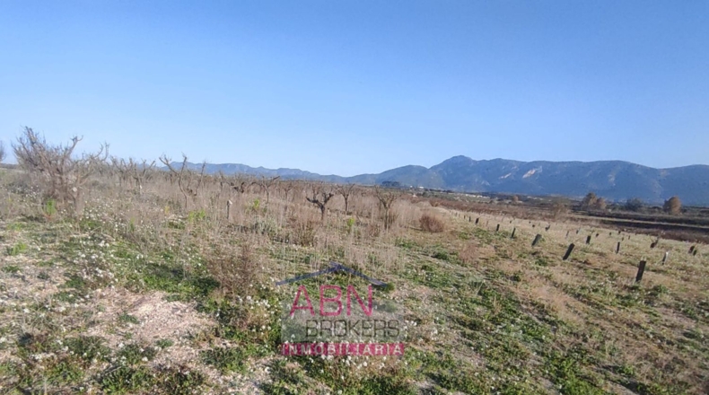 Valencia - Bèlgida - 9984m2