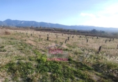 Terreno no urbanizable en venta en Bèlgida ref: TR253002 foto