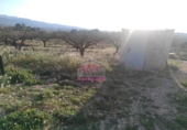 Terreno no urbanizable en venta en Bèlgida ref: TR253002 foto
