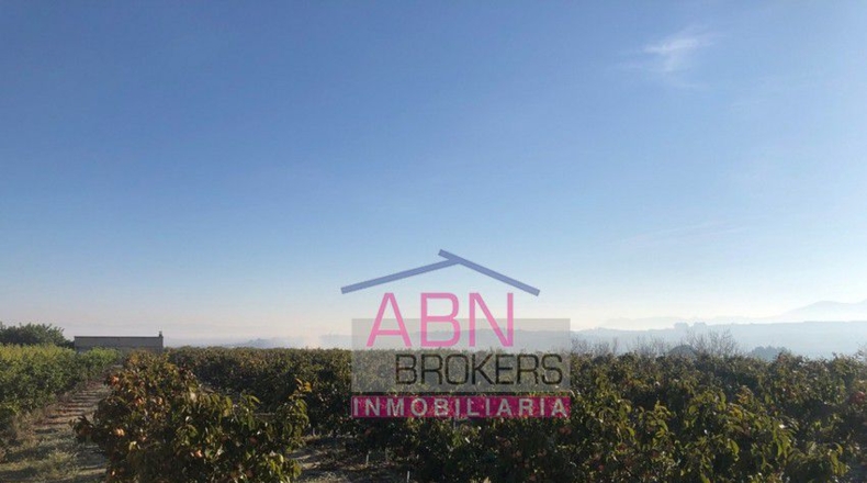 Valencia - Adzaneta de Albaida - 32710m2