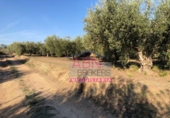 Finca rústica en venda a Albaida ref.: TR22986 foto