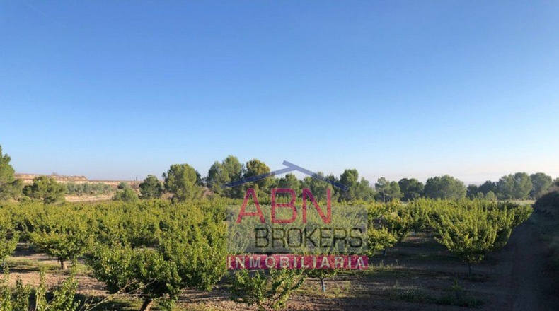 Valencia - Adzaneta de Albaida - 32710m2