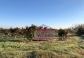 Finca rústica en venda a Albaida ref.: TR22986 foto