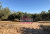 Finca rústica en venda a Albaida ref.: TR22986 foto