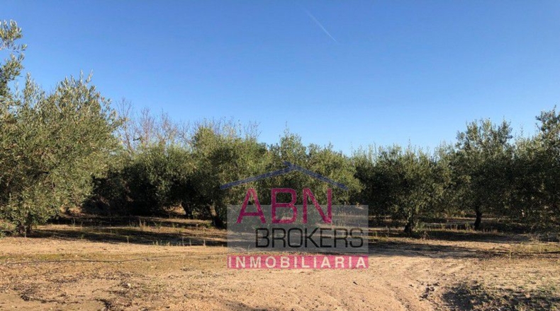 Valencia - Adzaneta de Albaida - 32710m2