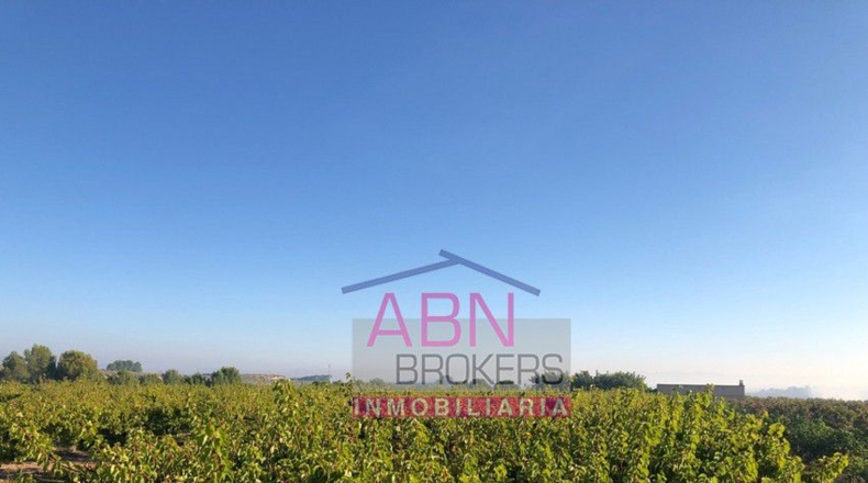 Valencia - Adzaneta de Albaida - 32710m2