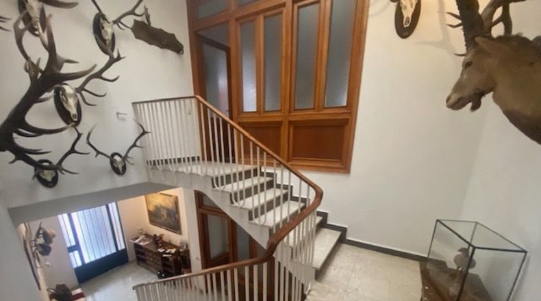 Sevilla - Guadalcanal - 313m2