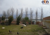 Industrial warehouse for sale in Villaumbrales ref: TR199488 photo