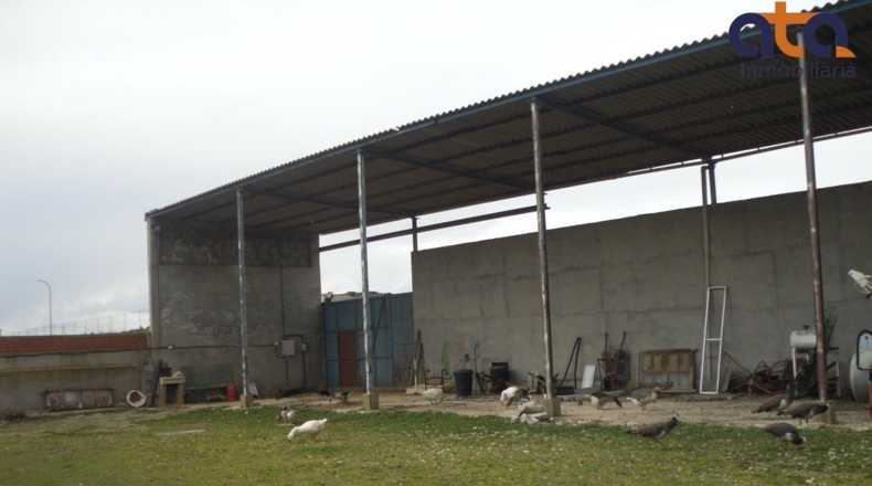Palència - Villaumbrales - 328m2