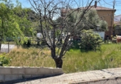 Sòl urbà en venda a Masquefa ref.: TR204585 foto