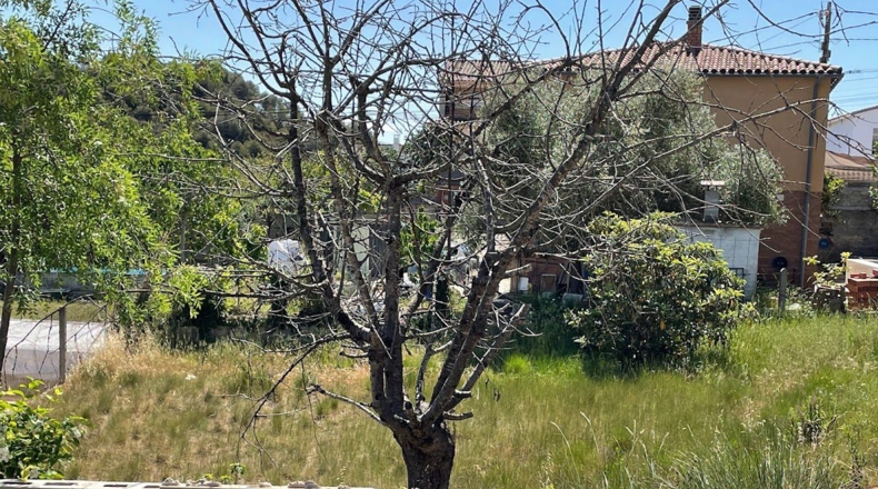 Barcelona - Camps de Ca n'Esteve - 661m2