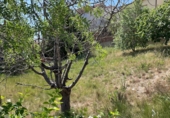 Sòl urbà en venda a Masquefa ref.: TR204585 foto