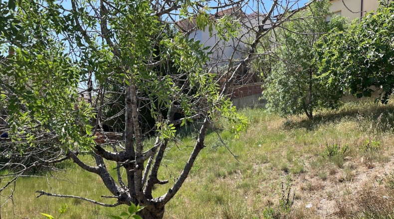 Barcelona - Camps de Ca n'Esteve - 661m2