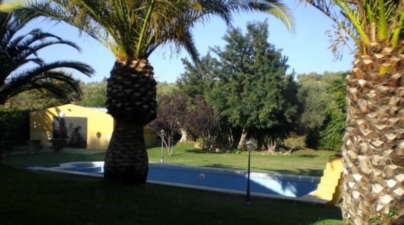 Sevilla - Dos Hermanas - 2000m2