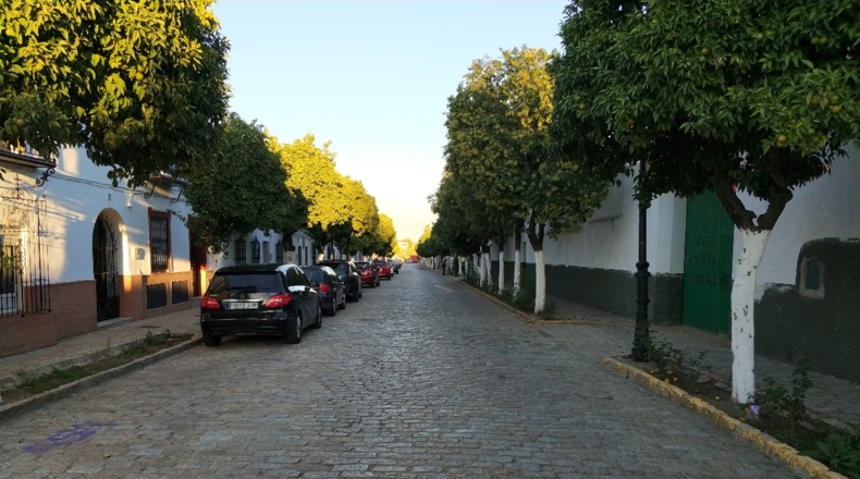 Sevilla - Gerena - 650m2