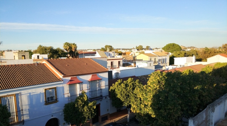 Sevilla - Gerena - 650m2