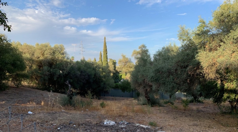 Seville - Alcalá de Guadaíra - 1192m2