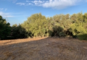 Sòl urbà en venda a Alcalá de Guadaíra ref.: TR106396 foto