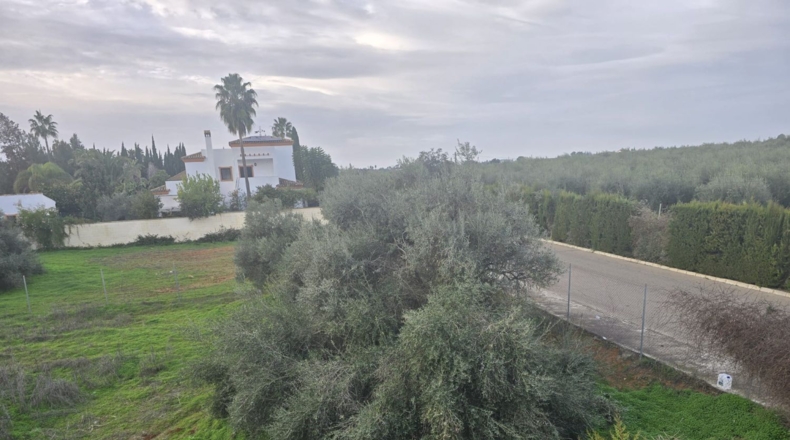 Sevilla - Aznalcázar - 1080m2